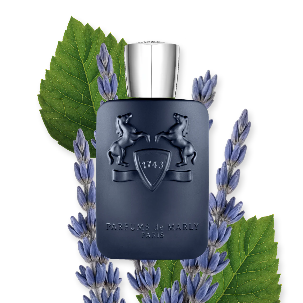 LAYTON EDP 125ML