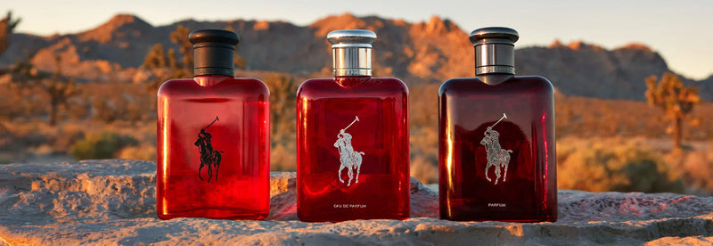 PERFUMES RALPH LAURENT