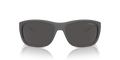 0AN433728418763