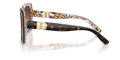 0DG447532171356