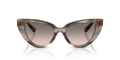 0DG449734493B52