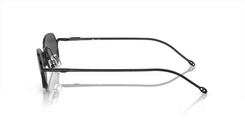 0DL10041098753
