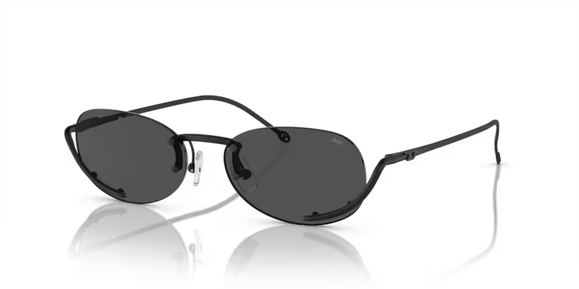 0DL10041098753