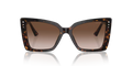 0JC5001B50021354