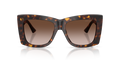 0JC5036B50021354