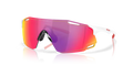 0OO9513D95130339