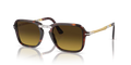 0PO3330S248551