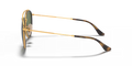 0RB3647NL00151