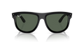 0RBR0501S6677VR56