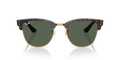 0RBR0504S1359VR51
