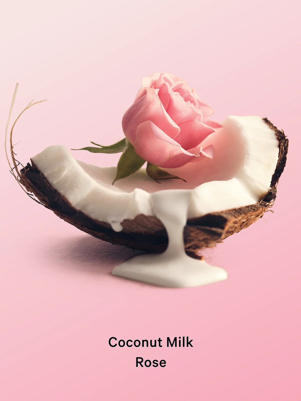 VS MIST COCONUT MILK ROSE 236ML