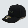 6 PANEL STRETCH METALLIC HAT / Blackout