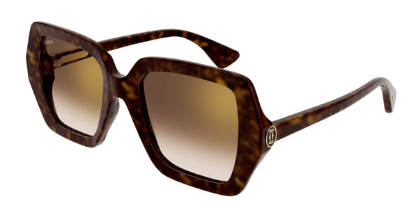 CT0507S00254