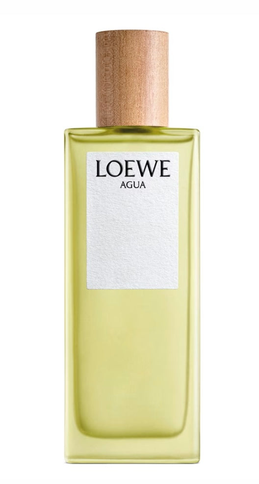 AGUA DE LOEWE 100ML DAMA