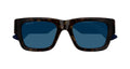 GG1668S00252