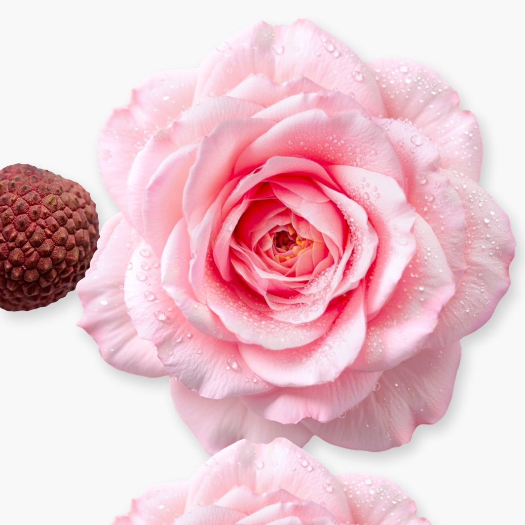 PARFUMS DE MARLY: DELINA 75ML EDP