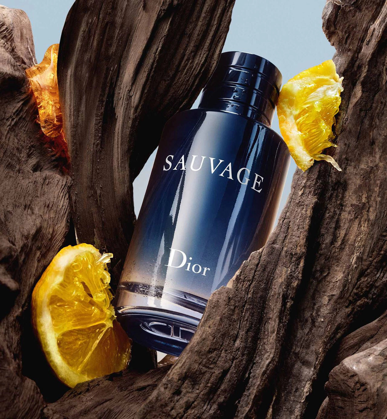 Sauvage Eau de Toilette