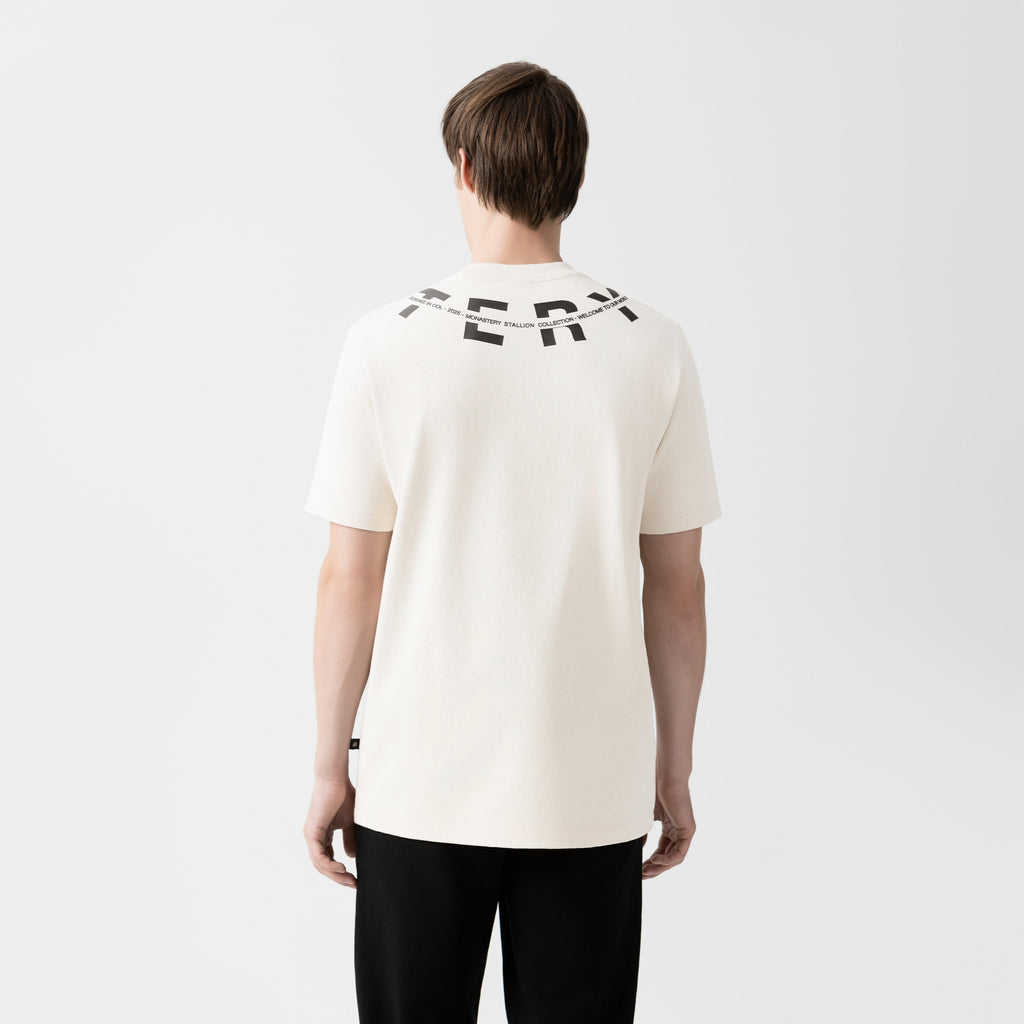 UTAH T-SHIRT MEN MOONBEAM