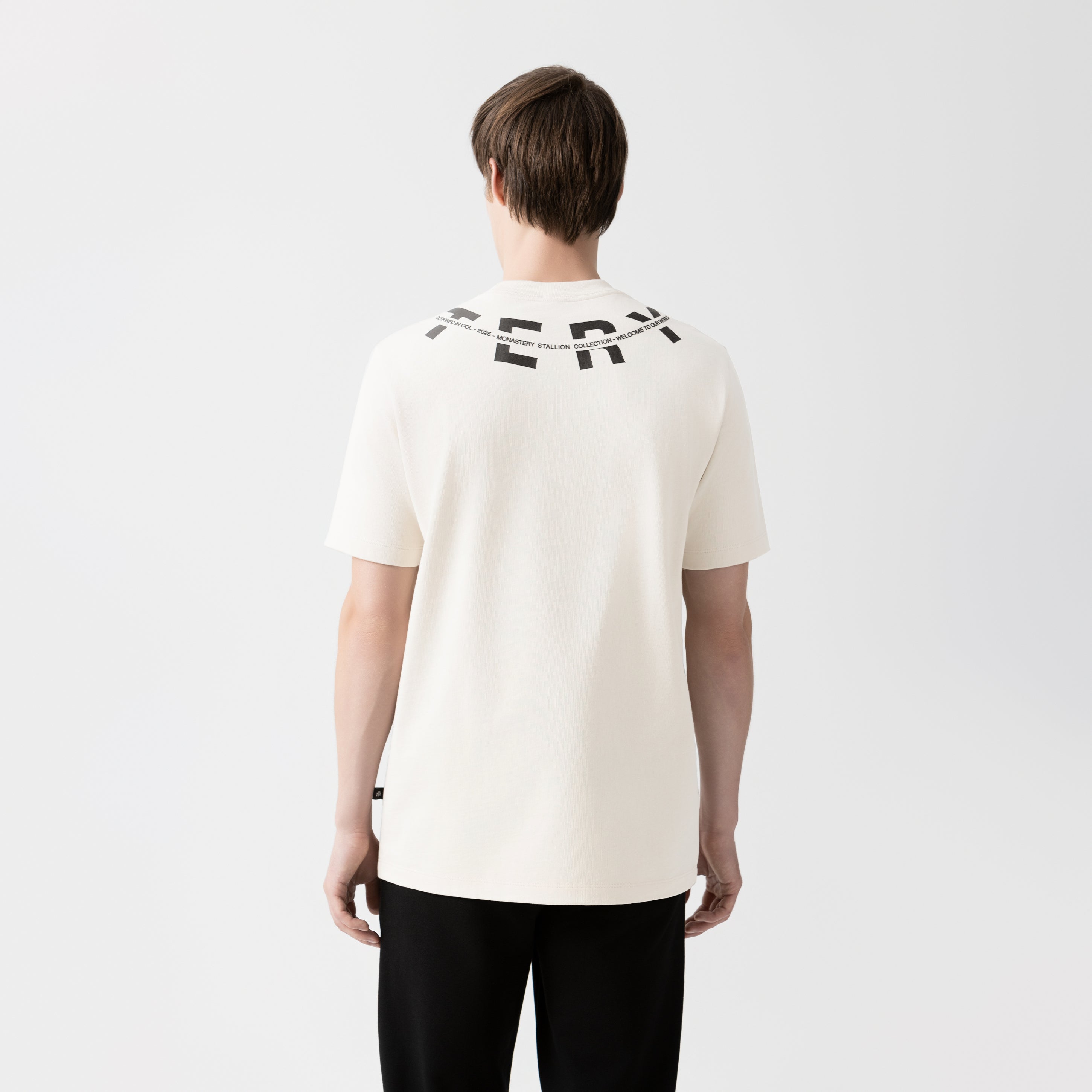 UTAH T-SHIRT MEN MOONBEAM
