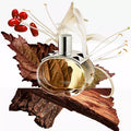Hermes Barenia EDP 100ML