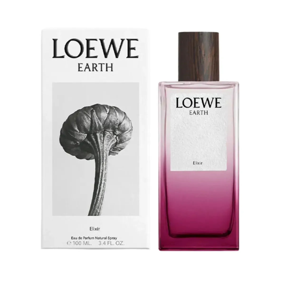 Loewe Earth Elixir EDP 100ML