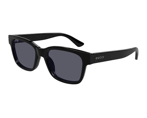 GG1716S00154