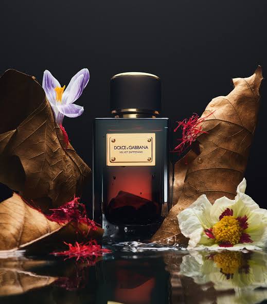 DOLCE & GABBANA VELVET ZAFFERANO
