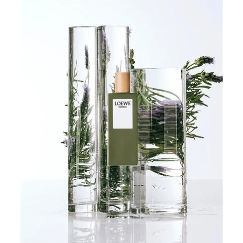 Loewe Esencia EDT 100ML