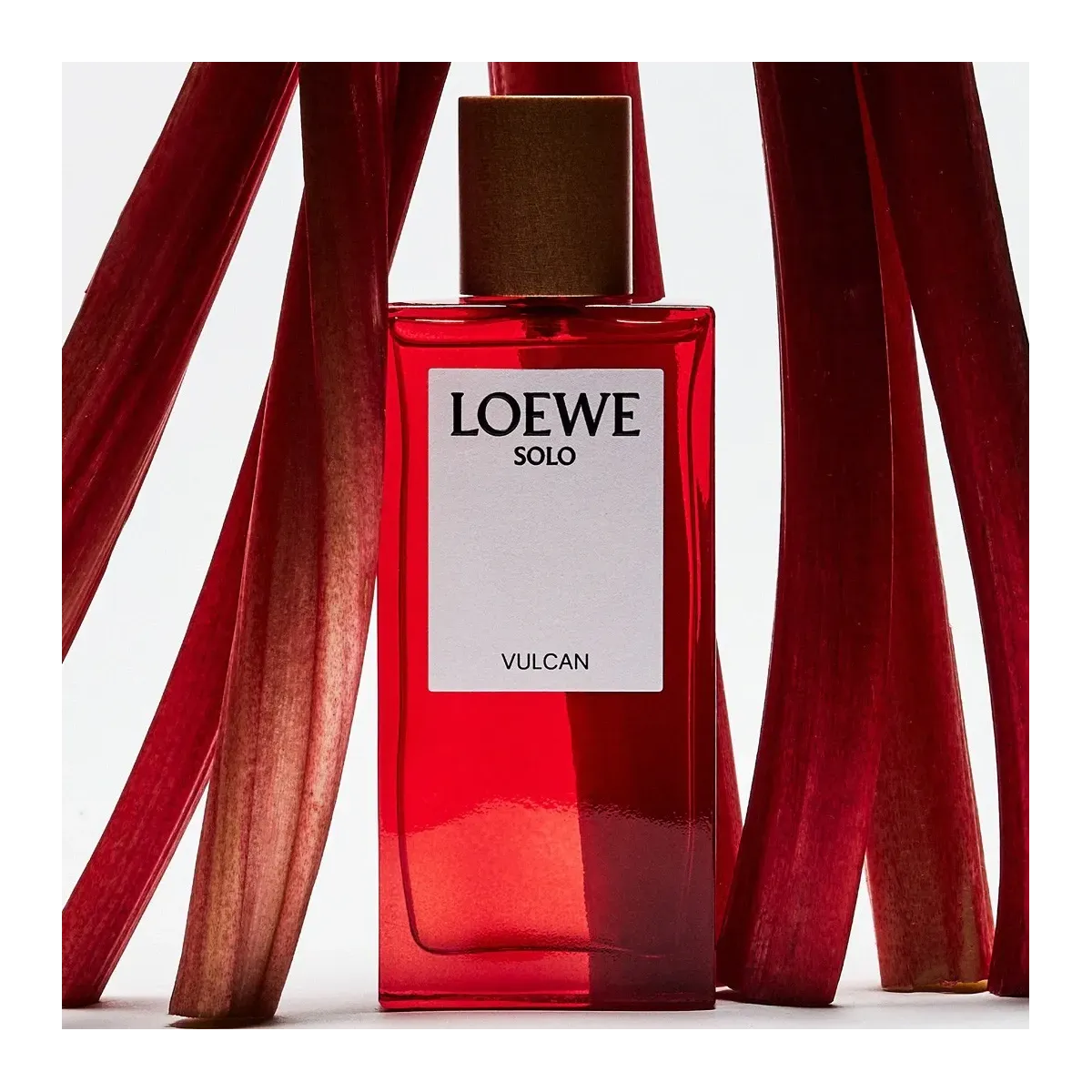 Loewe Solo Vulcan EDP 100ML
