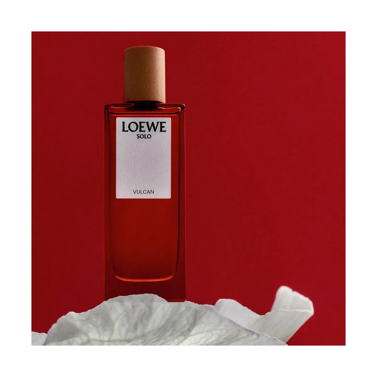 Loewe Solo Vulcan EDP 100ML