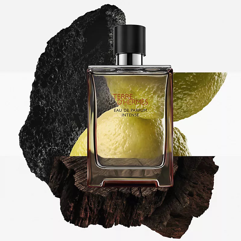 Hermes Terre D'Hermes EDP Intense 100 ML