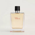 Hermes Terre D'Hermes EDT 100ML