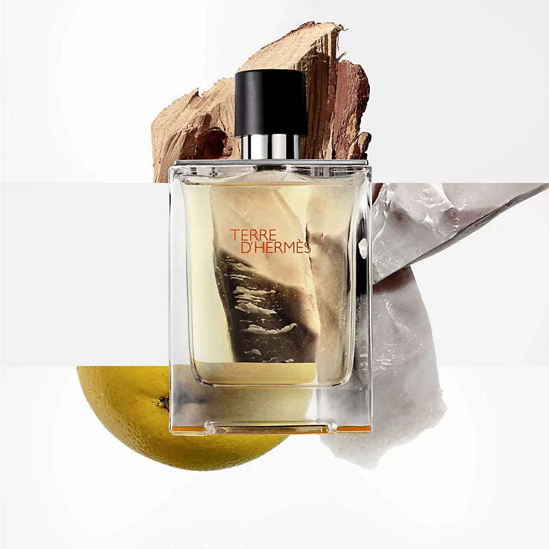 Hermes Terre D'Hermes EDT 100ML