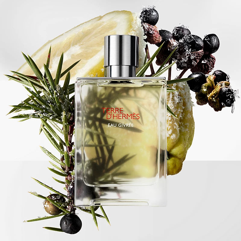 Hermes Terre D'Hermes Eau Givrée EDP 100ML