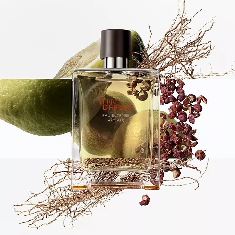 Hermes Terre D'Hermes Eau Intense Vétiver EDP 100ML