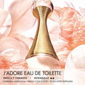 Jadore Perfume Mujer Dior  EDT 100ML