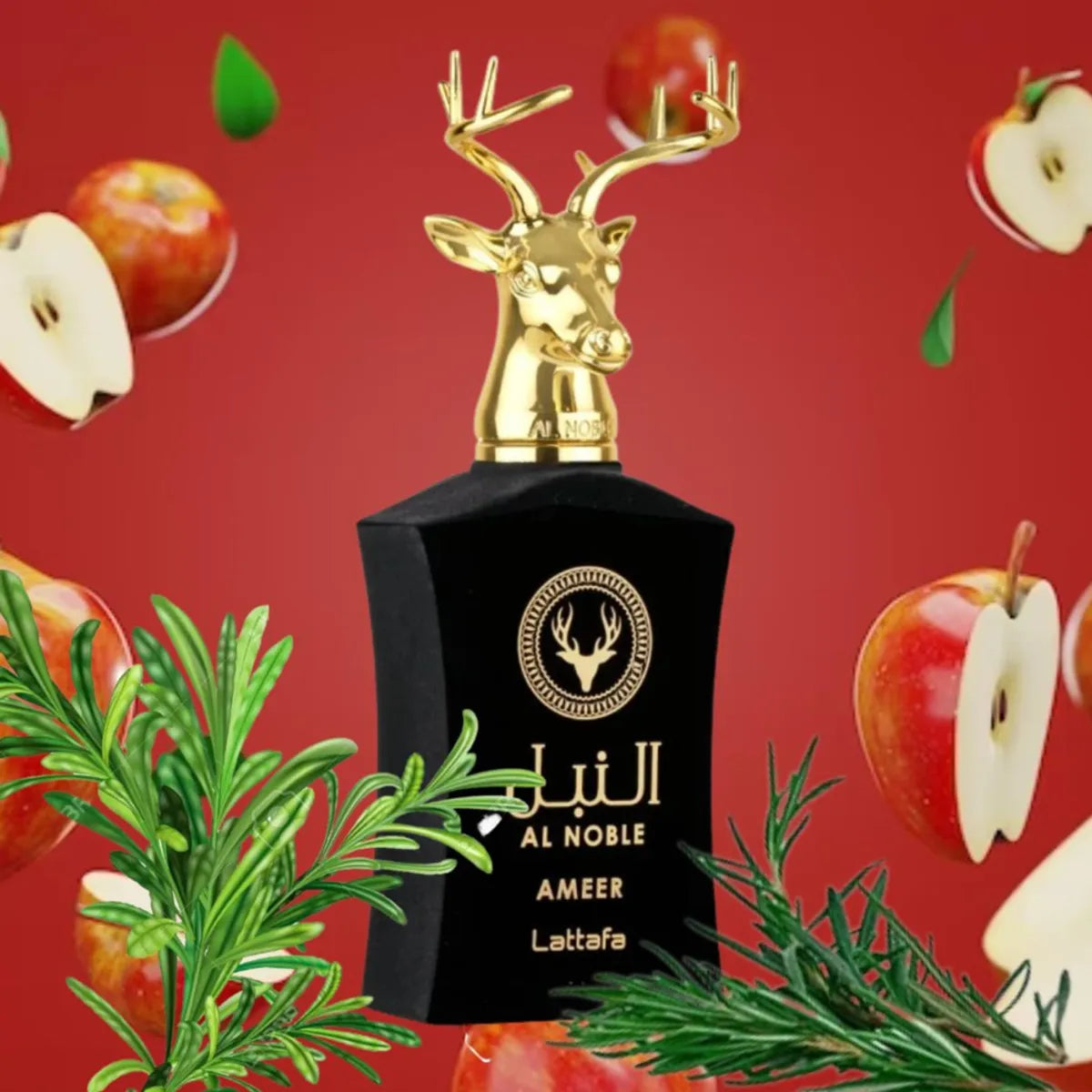 AL NOBLE AMEER 100ML